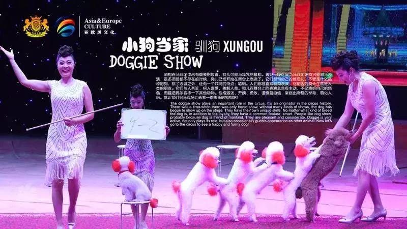 啥是大马戏 8f0721cdcdef4057a9e2e06084b1dc7f.jpeg