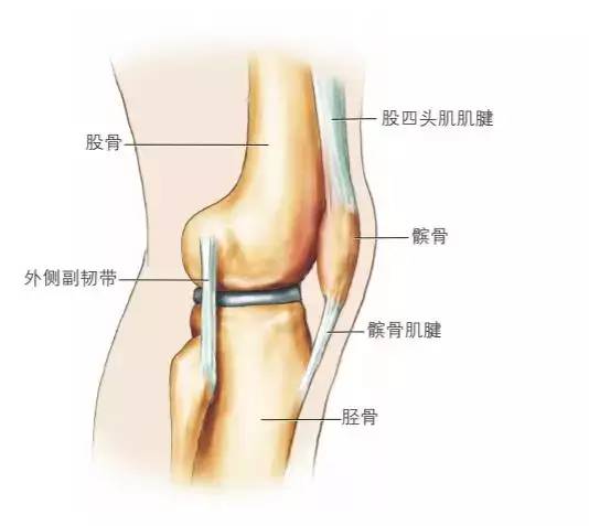 跑步膝怎么办