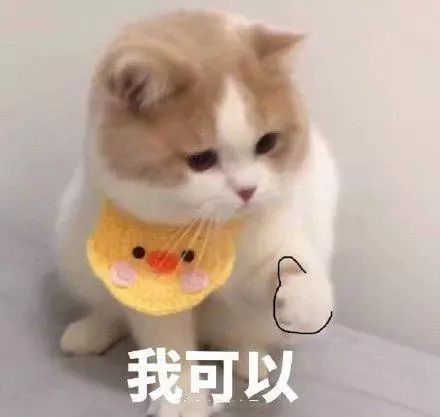 9c49322065774a018d29cb566e422197.jpeg