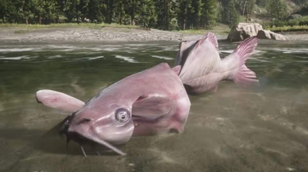 《荒野大镖客2》惊现巨型鲶鱼重达180磅，模样恐怖_玩家