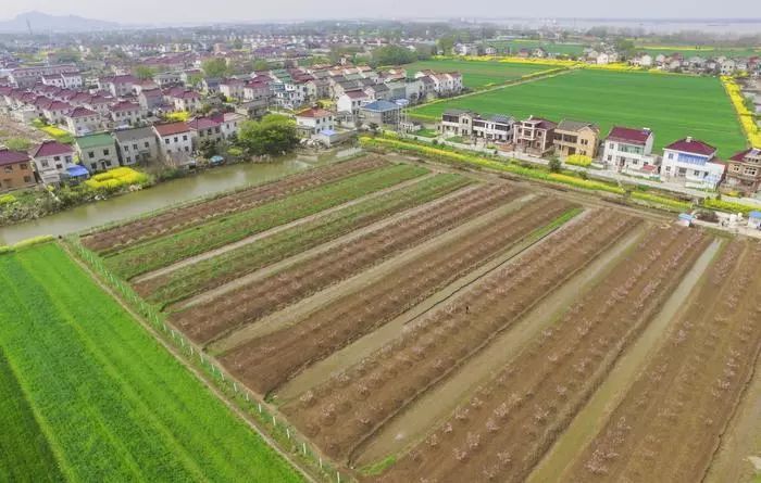 黎塘镇每年gdp多少_用数据说话 2021年 欢迎来宾阳投资 附宣传片