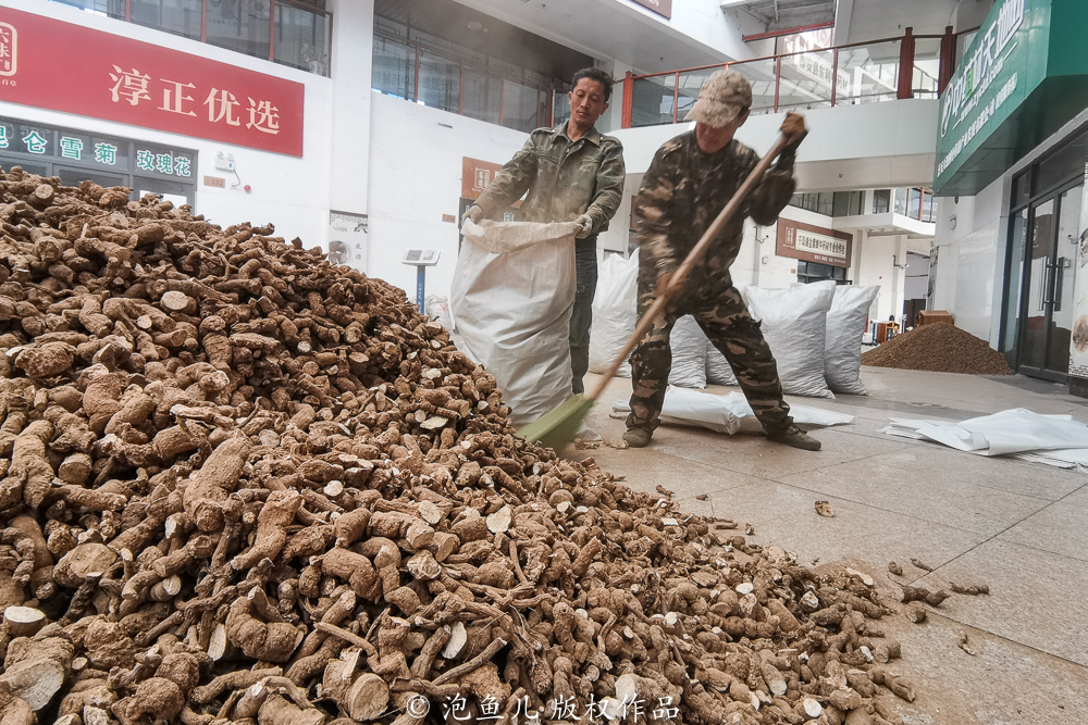 千岛湖唯一未被淹没的古镇,曾出现数百位名医,农民种药材脱贫 千岛湖唯一未被淹没的古镇,曾出现数百位名医,农民种药材脱贫