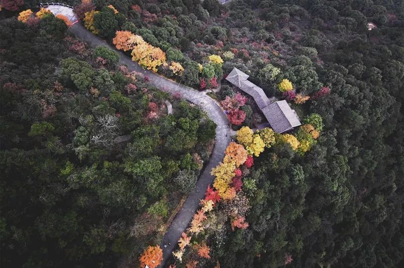 临平此地大变样48km游步道游乐园亮灯工程