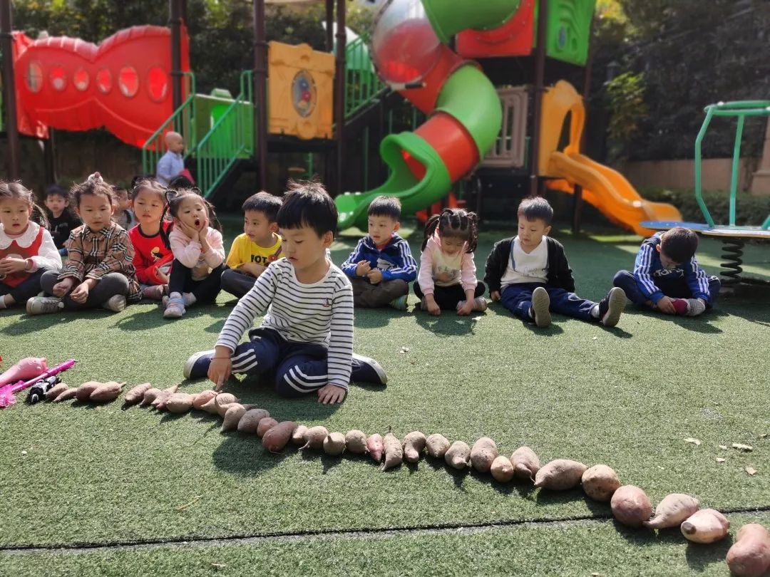 这个幼儿园把番薯玩出了花样