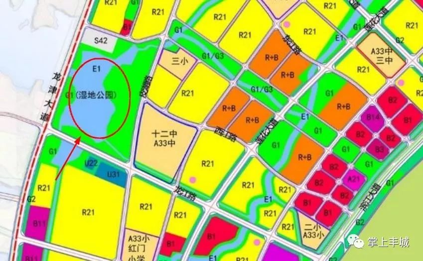 "将结合地形实际在 龙津洲新区规划三个公园