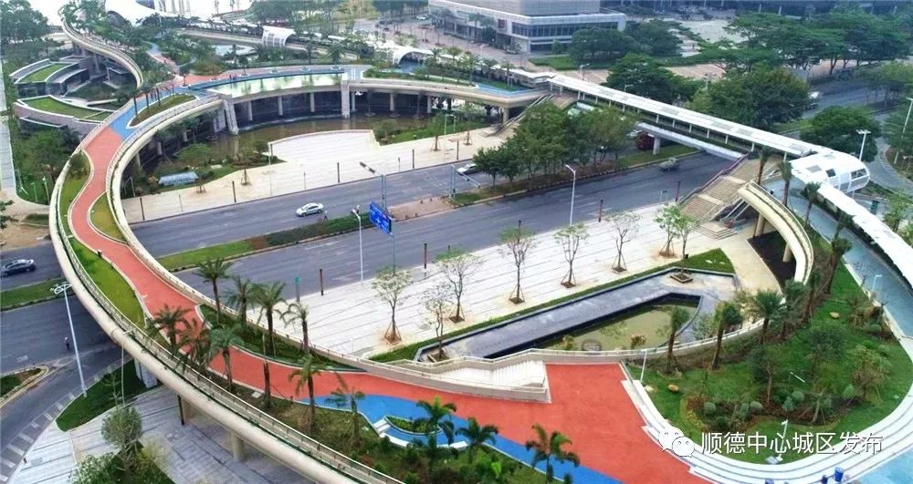 又增好去处多图放送顺德金凤凰来了