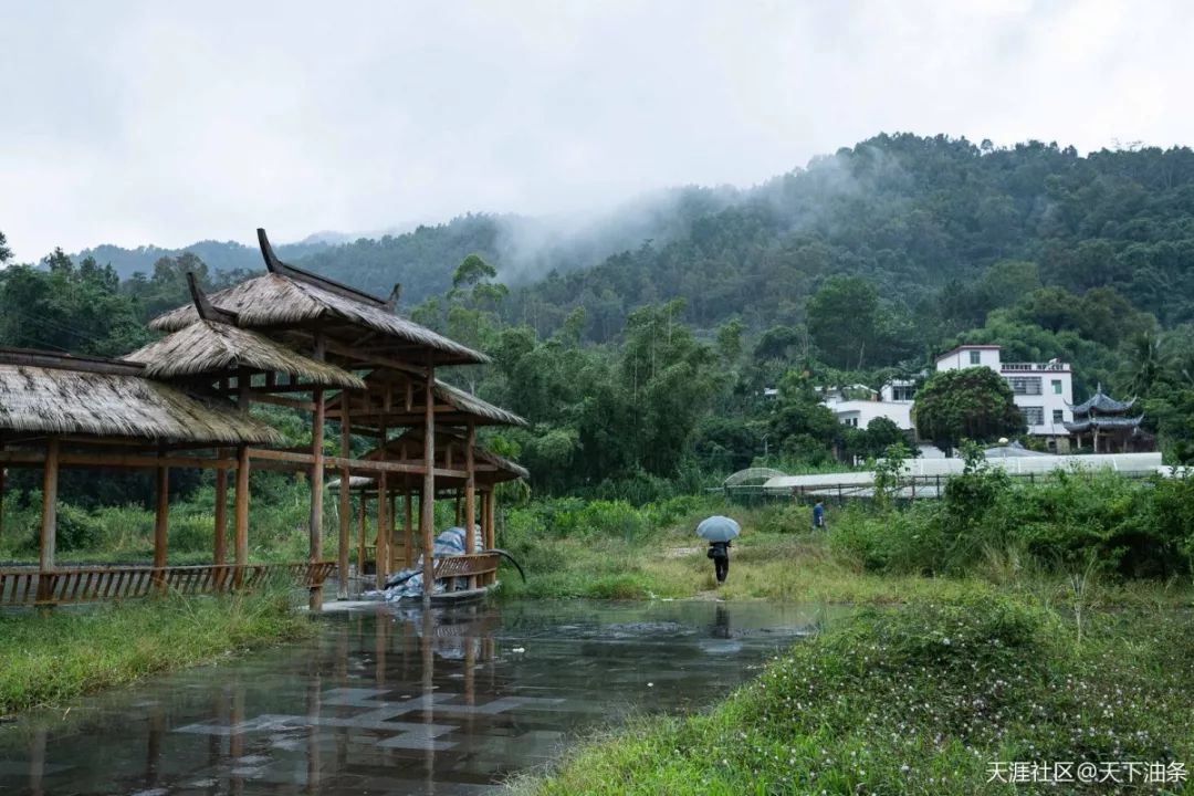 时而秋雨时而艳阳:雨雾下的五指山毛纳村翩然似仙居