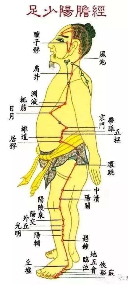 胆经堵:包括胆在内的胆经堵了,这个时候胆经当令,企图用阳气冲破这个