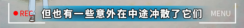 【奔波儿灞与灞波儿奔】《男人的蛋蛋是个谜？》