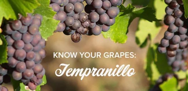 丹魄(Tempranillo):西班牙葡萄酒品种之王