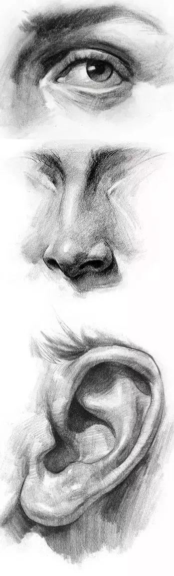 联考素描素描的脸到底要怎么画五官怎么才能画好