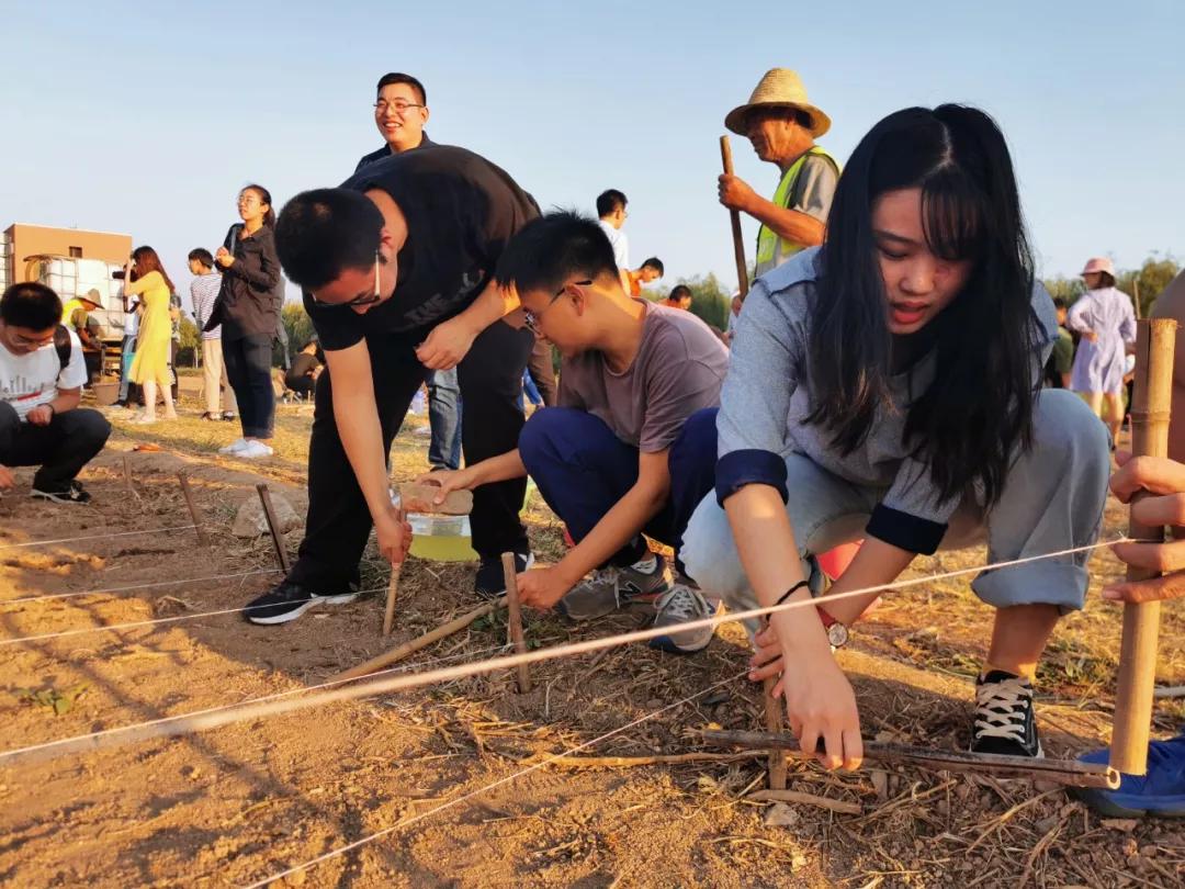 天津大学：天大“小菜园”收获啦！劳动的味道真香！