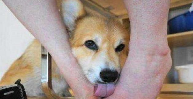 19a7839990c147709c7adf344688479b.jpeg