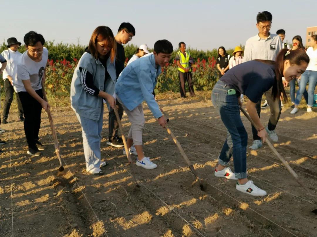 天津大学：天大“小菜园”收获啦！劳动的味道真香！