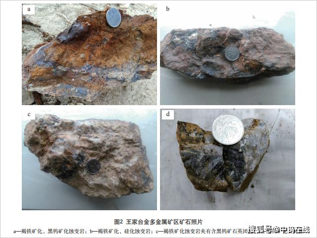 成因类型为与燕山期构造-岩浆热液作用有关的蚀变岩型,石英脉型金银钨