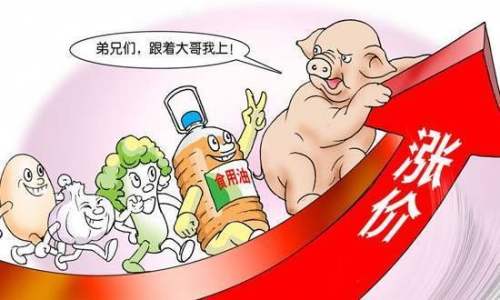 猪肉价格开始回落,疯涨趋势已受到遏制?