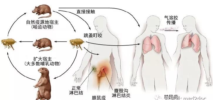 人口呼吸_北京回应雾霾耐药菌 不意味着致病性增强(3)