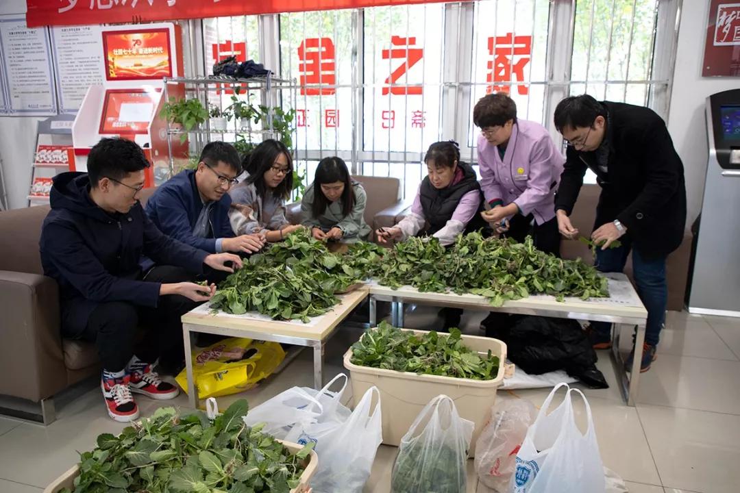 天津大学：天大“小菜园”收获啦！劳动的味道真香！