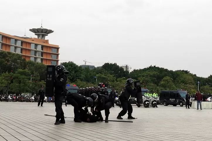 蒙自这两所学校4000多名师生目睹了特警抓持刀歹徒