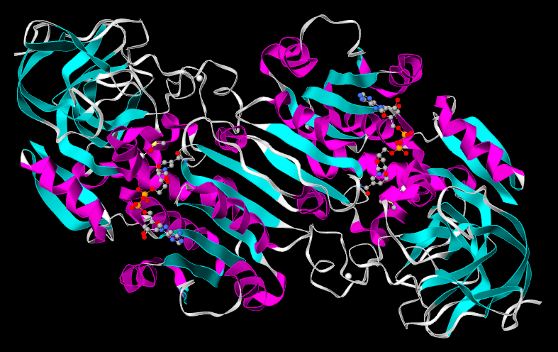 447121bb307045f1b8b7b08db812f84d.png
