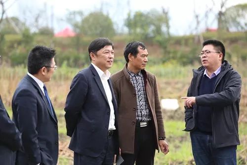 色尼区gdp