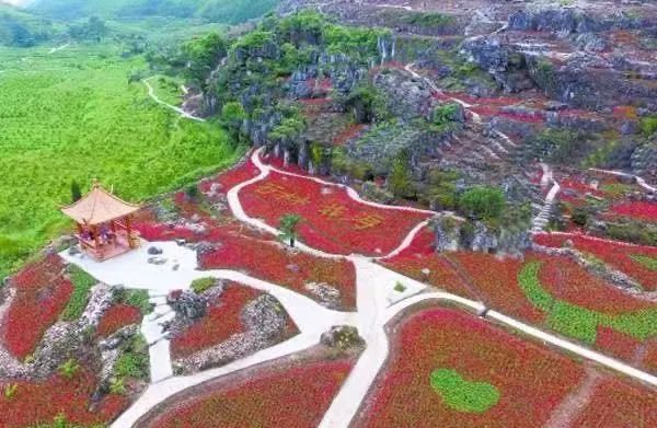 怀化市鹤城区人口_怀化市鹤城区地图