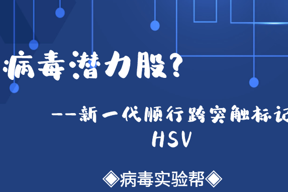 病毒里的潜力股?带你了解新一代高效顺行跨突触标记的hsv!