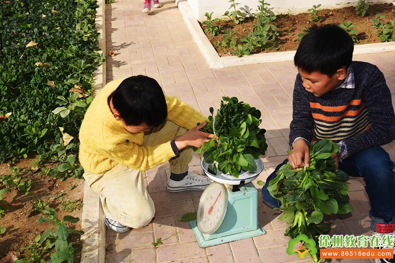 收获的季节第二部 59c9628a3cb84499ac0be97922514754.jpeg