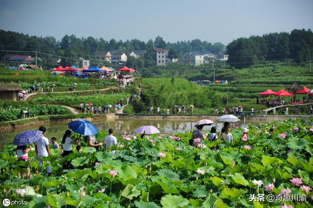 秀山市人口_秀山市地图