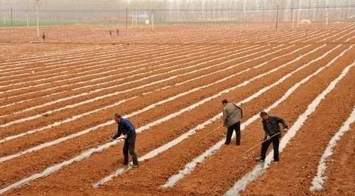 人口地延长_延长甲图片美甲图片