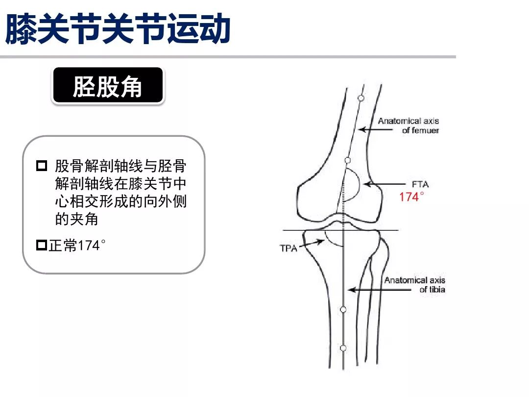 人体肩膝关节运动解剖学基础