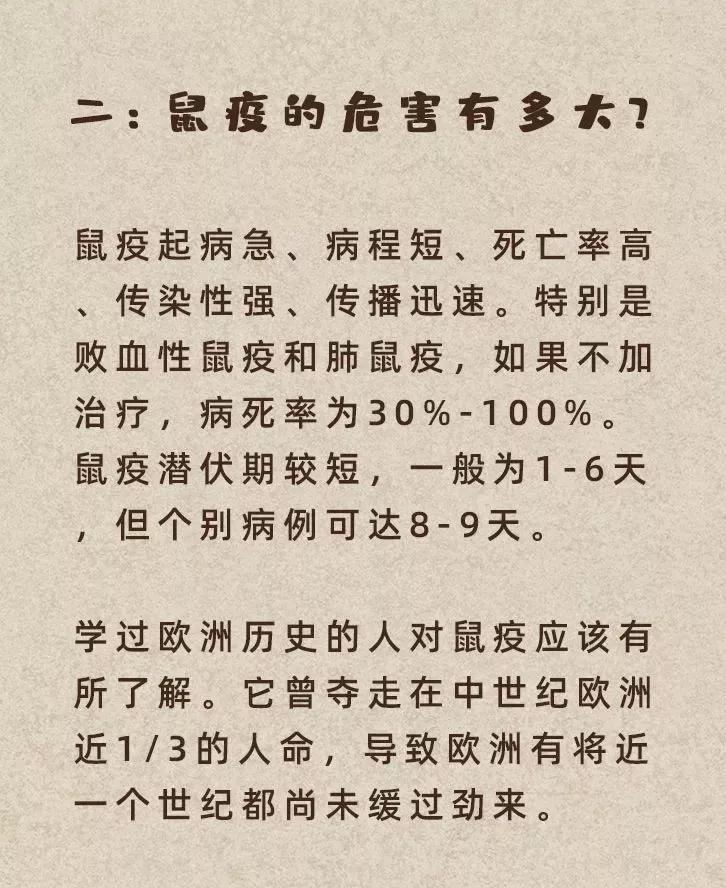 一图读懂鼠疫它离我们很远也很近