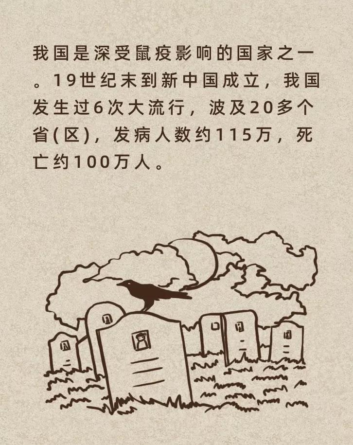 鼠疫事件最近进展—新华社北京11月14日电,记者14日从北京市卫生