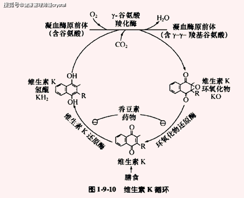 『健康管理师媛crystal』为何给宝宝喂奶，宝妈孩子要额外补充维生素K？营养师告诉你真相