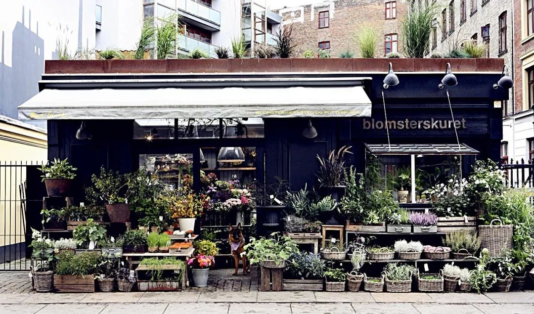 花店兼咖啡店,型男店主,斯得哥尔摩