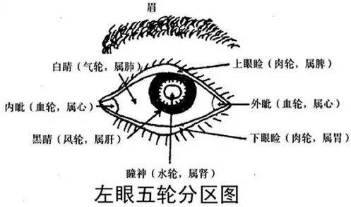 艾灸帮你调理眼袋 .艾灸养生