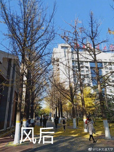 翠园 人均消费_翠园中学