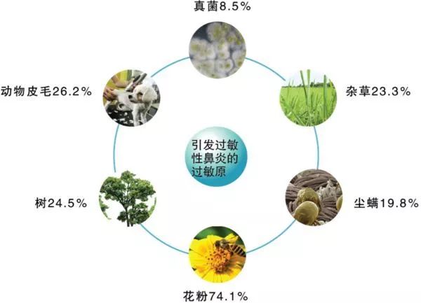 秋季鼻炎过敏怎么办