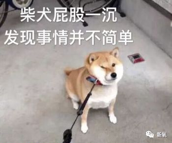 a6593df64c6c4be98ca541d5ffd10851.jpeg