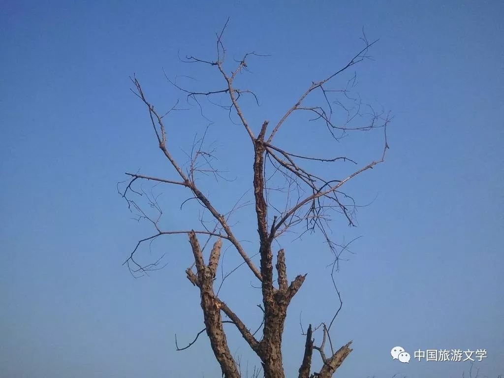 不忙不慌：做一个内核稳定的人》 | PDF, image size:1024x768