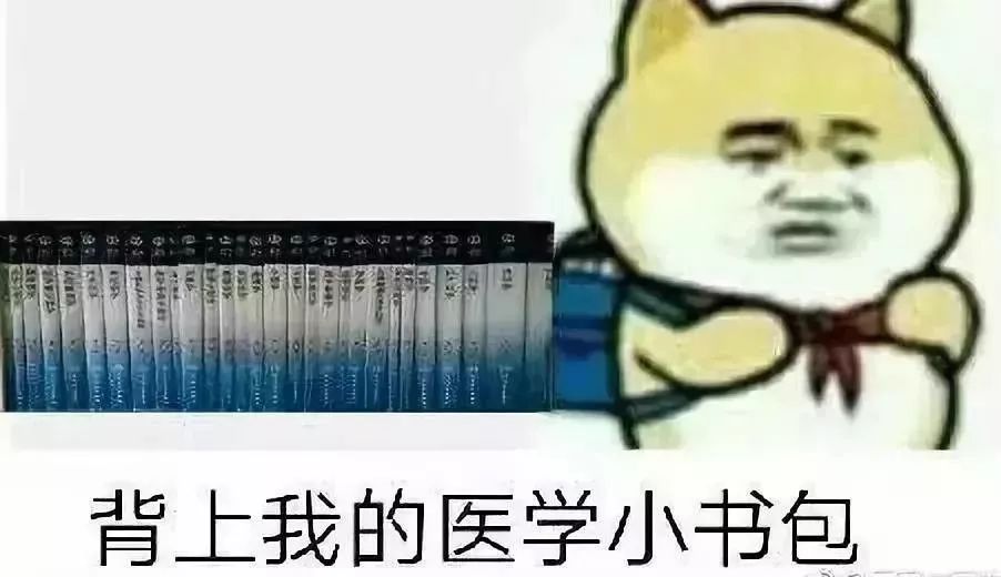 b169a0a6011f4d93855964ba9b8b31f8.jpeg