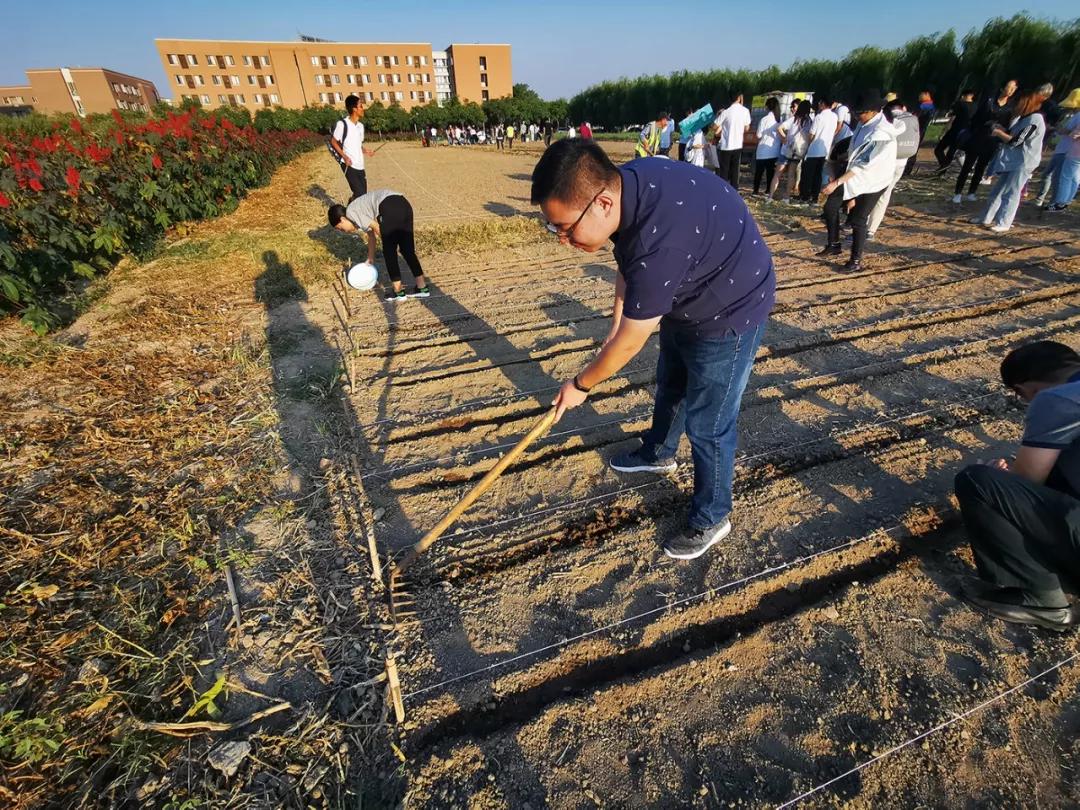 天津大学：天大“小菜园”收获啦！劳动的味道真香！