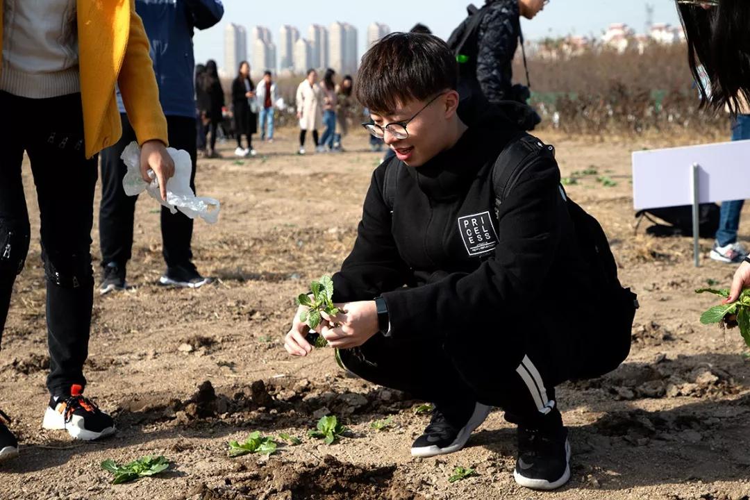 天津大学：天大“小菜园”收获啦！劳动的味道真香！