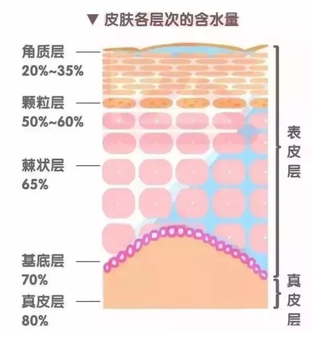 过来人的经验,护肤品没有这三种保湿成分千万别用