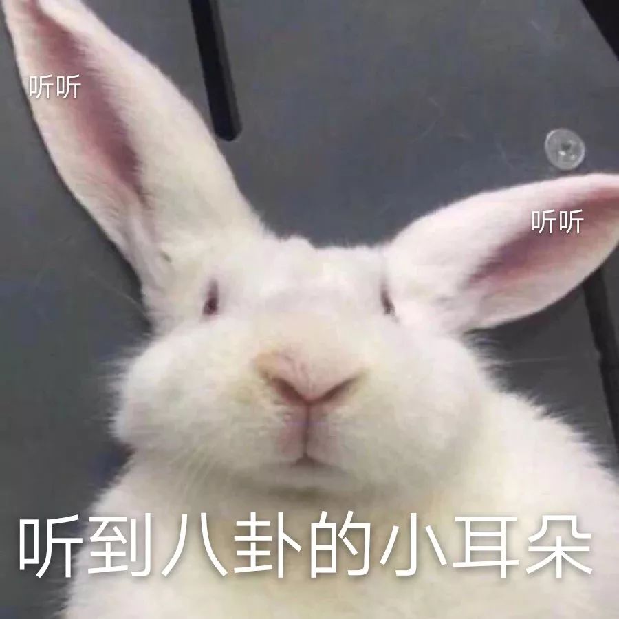 近期沙雕图