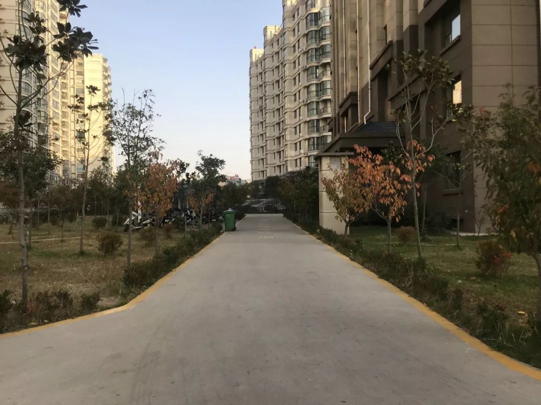 【践初心 惠民生】秦楼街道:精细管护 温暖城市_社区