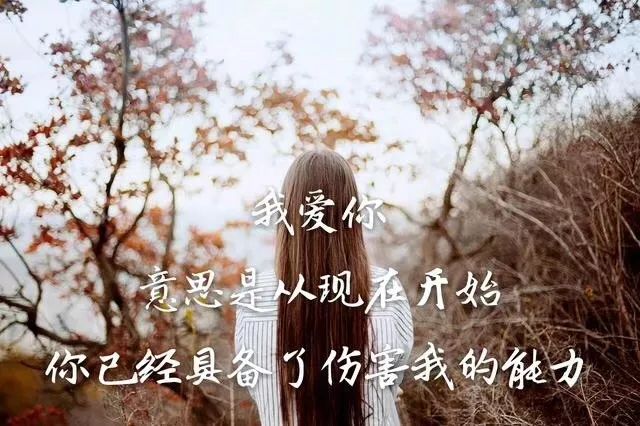 发婚纱照的个性签名_个性婚纱照(2)