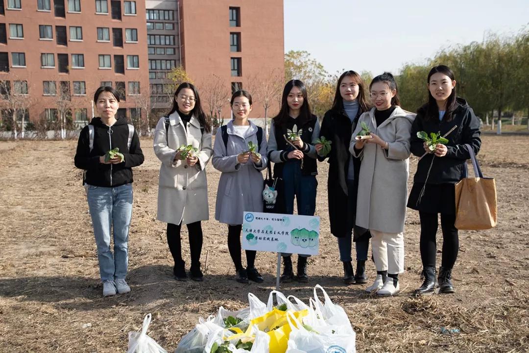 天津大学：天大“小菜园”收获啦！劳动的味道真香！