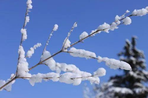 雪遇见太阳就融化是什么原理_太阳出来雪融化的图片