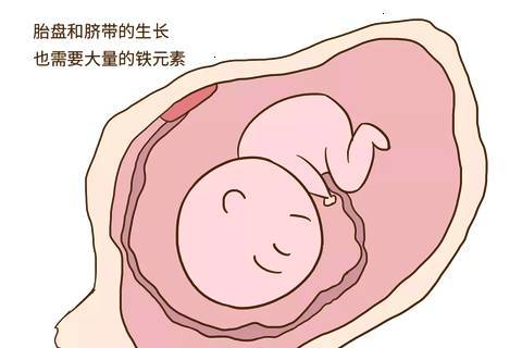 育儿观察录：孕期孕晚期易「贫血」，常见的原因有4个，孕妈妈需要积极预防